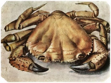 Hummer Albrecht Dürer Ölgemälde
